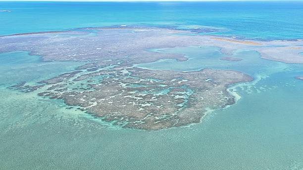 istock Japaratinga and Maragogi in Alagoas, Brazil 2215990678
