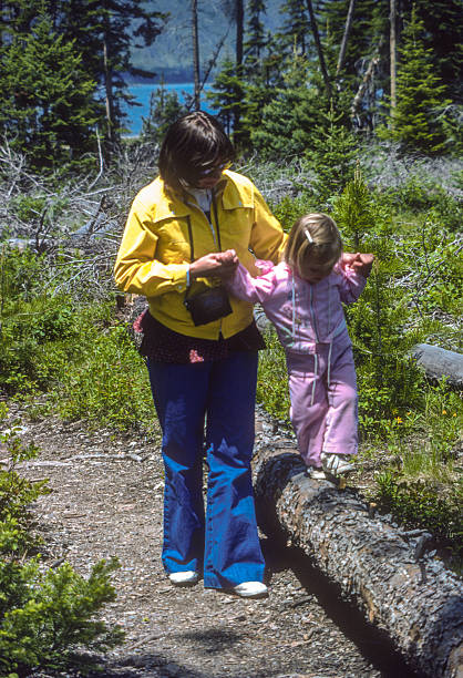 istock Grand Teton NP - Walking on a Log - 1981 2215994608