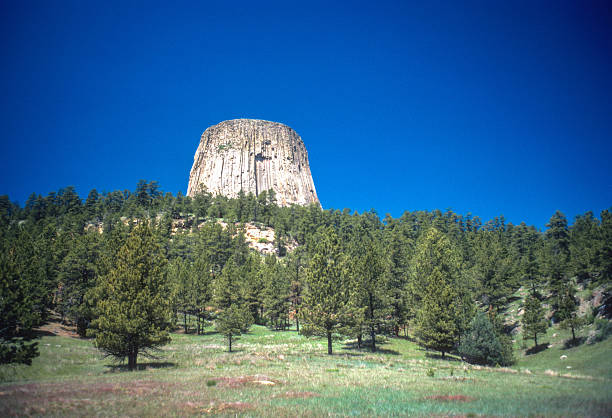 istock Devils Tower NM - The Tower Emerges from the Forest - 1981 2215994794