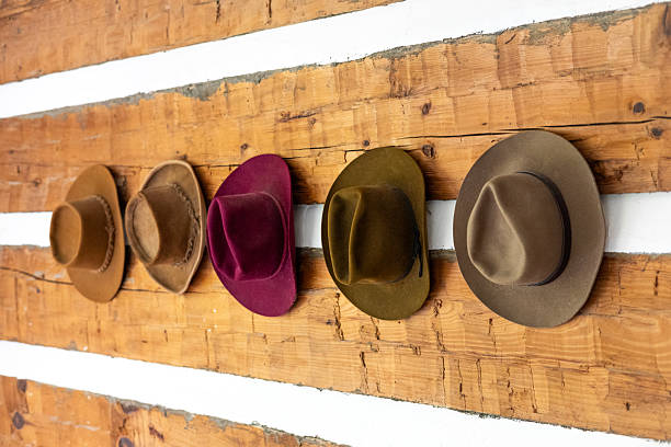 A row of stylish felt cowboy hats in various colors hanging on a rustic wooden wall, showcasing classic fashion accessories and interior decor.