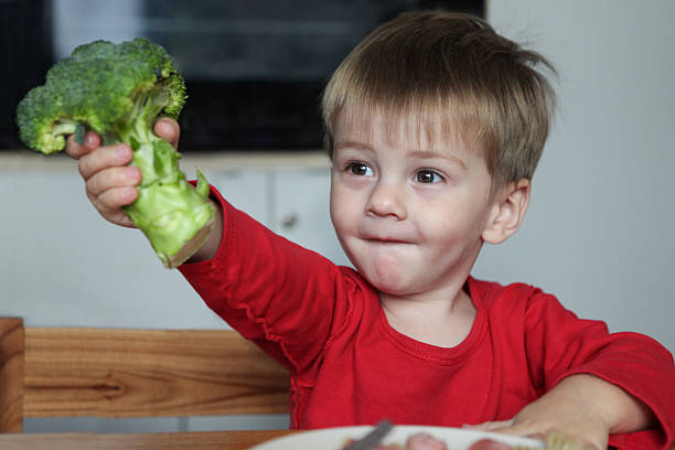 istock happy little boy  sitting at table  holding big raw broccoli 2215998718