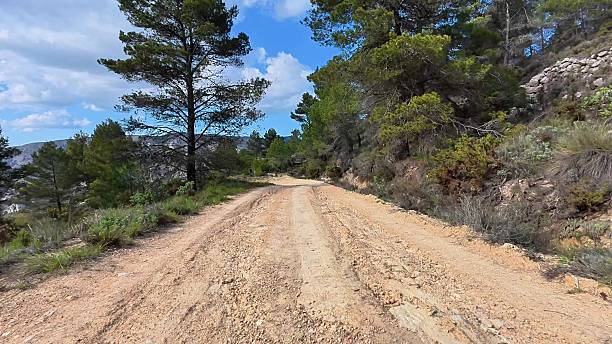 istock A Beautiful Scenic Dirt Road That Winds Through Pine Trees, Perfect for Nature Lovers 2216000920