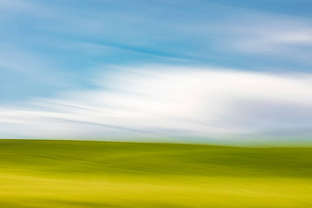 USA, Washington State, Eastern Washington,  Palouse Region. Pullman.  Green wheat fields. Blue sky, Clouds.