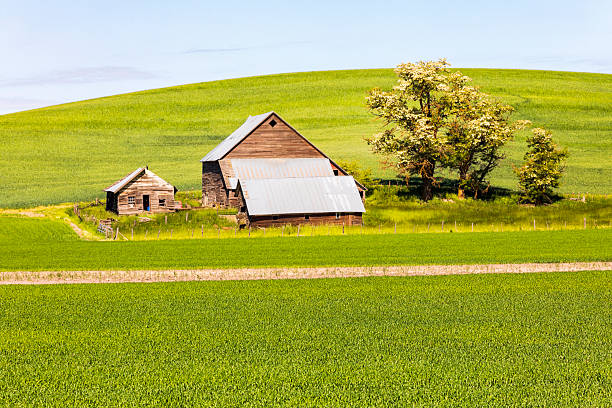 istock USA, Washington State, Eastern Washington,  Palouse Region. Colfax. 2216003967