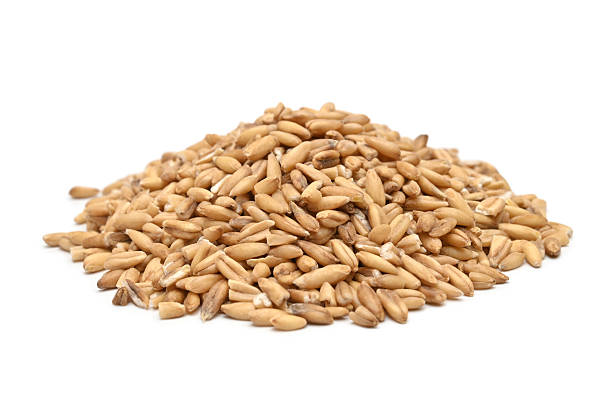 istock Wholegrain spelt farro 2216004862