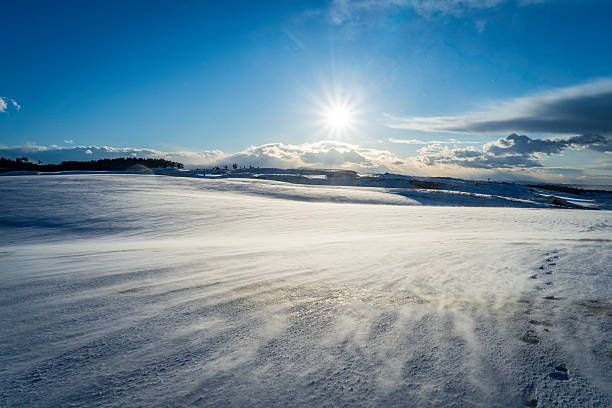 istock Tottori sand dunes in snow 2216007349