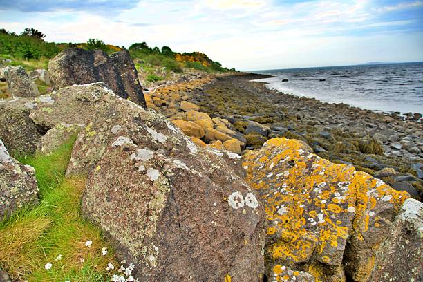Rocky coastline with lichen-covered boulders and grassy patches under a cloudy sky.