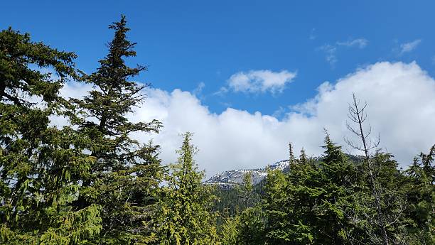 istock Above the Treeline: A View of Mountain Peaks and Clouds 2216012064