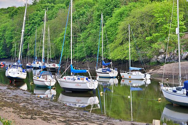 istock Sailboats on a tranquil river with lush greenery. 2216012835