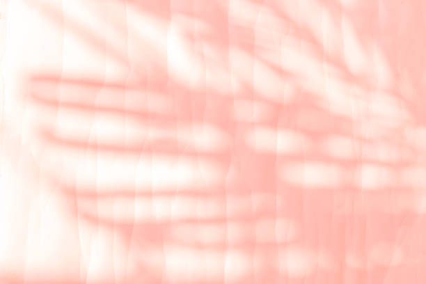 istock Pink palm leaves shadow on white paper texture background 2216013630