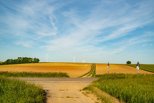 Golden-yellow rolling fields crossed by a road and green patchwork, with wind turbines rising in the distance.