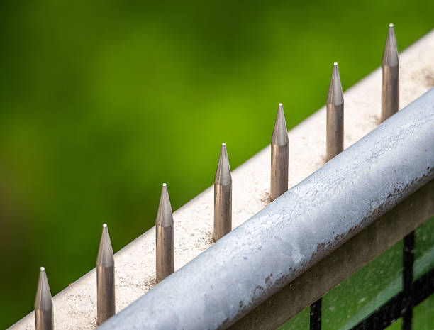 Close-up of a metallic fence with pointed spikes, set against a blurred green background. The spikes are arranged in a row, showcasing their sharp tips and shiny surface.