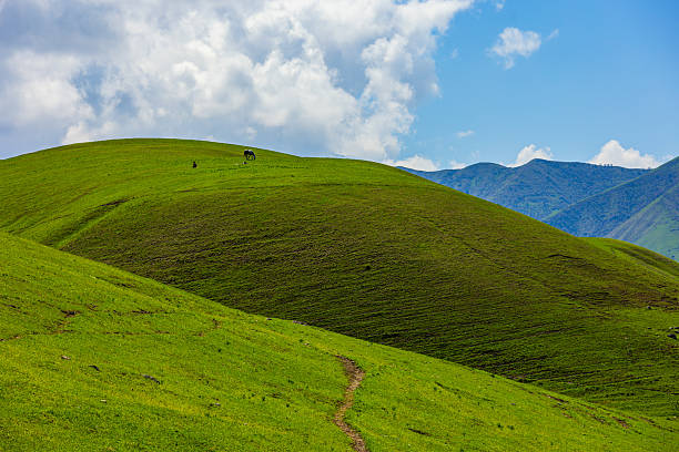 istock Narrow trail through green hills in a mountain valley 2216021129
