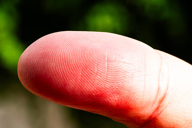 istock Close-up fingerprint analysis outdoors macro nature setting detailed view forensics concept 2216024650