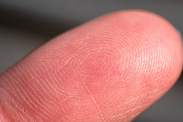 istock Close-up fingerprint analysis forensic study digital investigation indoor setting macro view security concept 2216024668