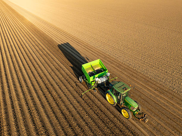 John Deere tractor planting seed potatoes in prepared soil for planting crops during a sunny and dry springtime day. Aerial view drone view from directly above.