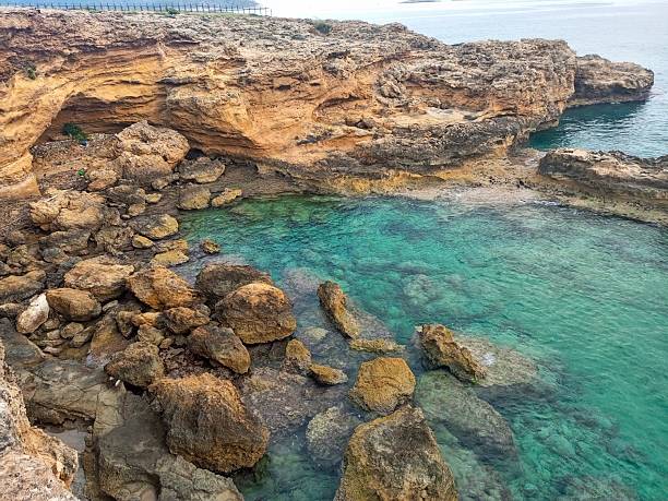 Natural habitat from Antalya