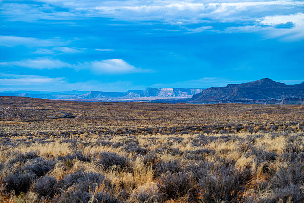 istock Stormy Desert Landscape in Arizona 2216031075