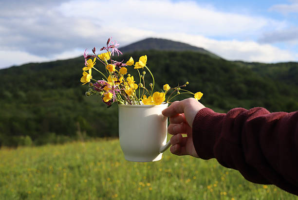 white cup with wild yellow flowers inside in hand on background of mountains