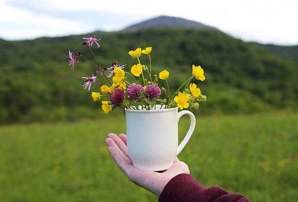white cup with wild yellow flowers inside in hand on background of mountains