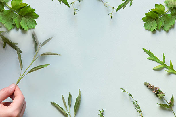 istock Bunch of mediterranean herbs in light blue background, fresh sage and thyme, spices 2216041862