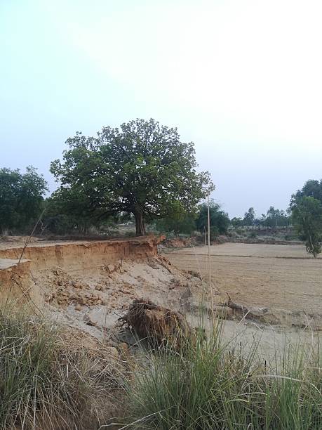 istock The beautiful tree view corner of the farm 2216046215