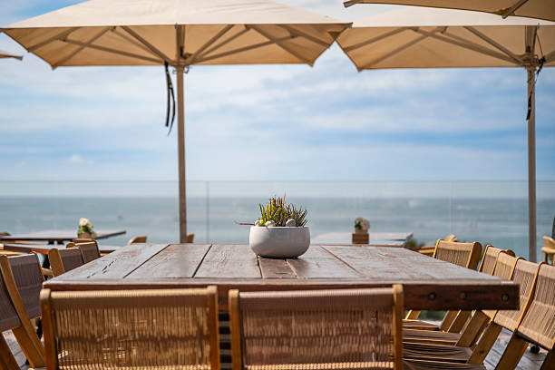 A sunlit table with a potted succulent overlooks the Mediterranean Sea from a stylish rooftop restaurant in Palma de Mallorca.