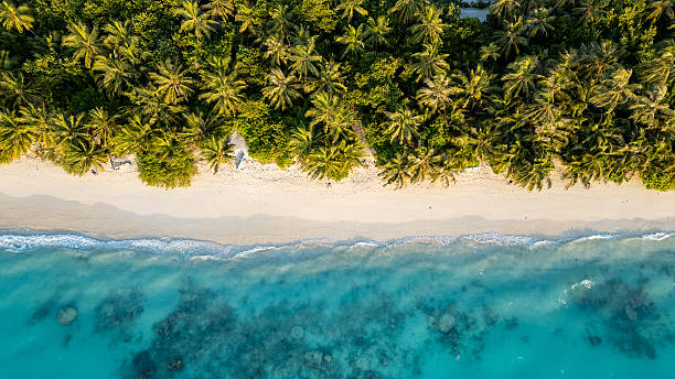 istock Aerial view of a pristine tropical beach. 2216051907