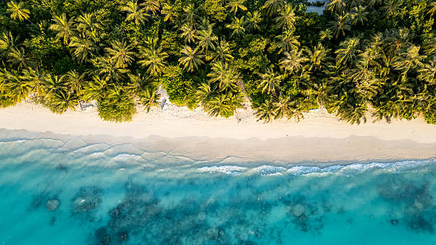 istock Aerial view of a pristine tropical beach. 2216051911