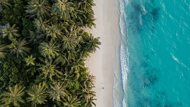istock Aerial view of a pristine tropical beach. 2216051926