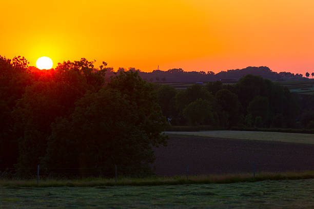 Green foliage of trees and a rolling landscape at a bright sunset in springtime, Voeren, Limburg, Belgium, May 17, 2025