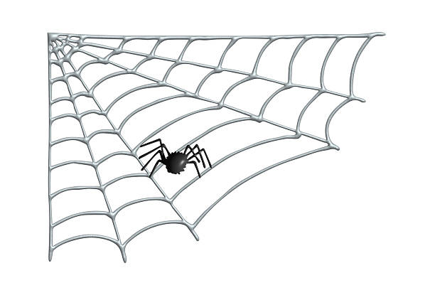 3d spiderweb with spider Halloween decoration for print, web, design, decor, logo