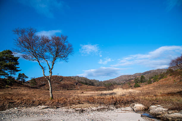 The Scottish Highlands are a wild mountainous region.  The land comprises open moorland and mountain ranges, with remote settlements.