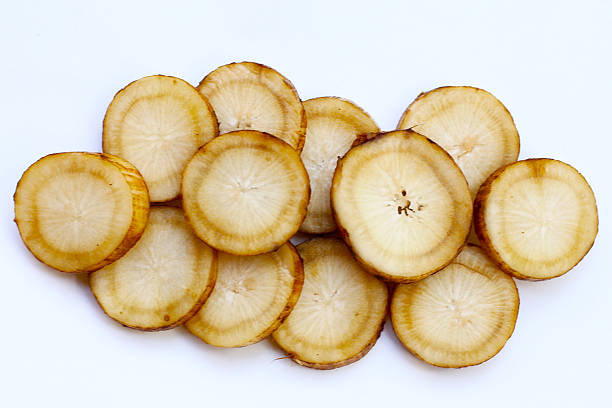 istock Fresh burdock roots or gobo roots 2216063198