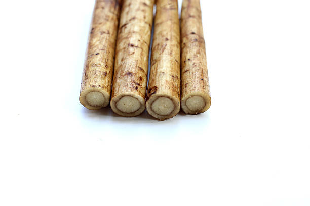 istock Fresh burdock roots or gobo roots 2216066210