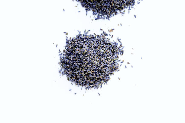 Dried lavender buds for brewing a herbal tea