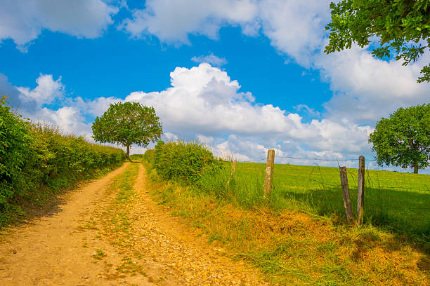 Fields and trees in a green rolling landscape in sunlight in springtime, Voeren, Limburg, Flanders, Belgium, May 17, 2025