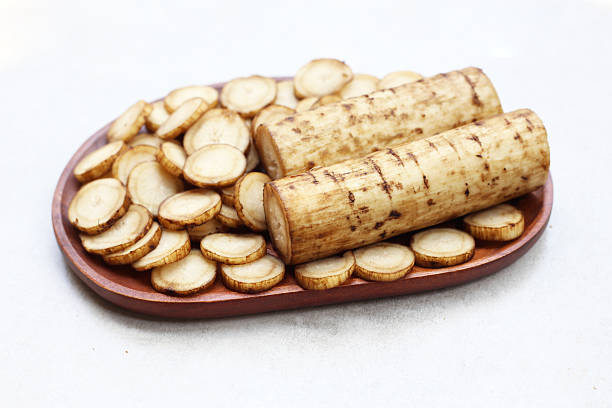 istock Fresh burdock roots or gobo roots 2216070511