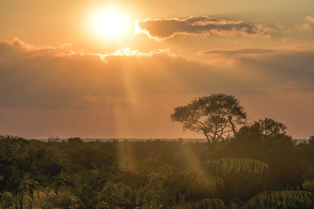 istock African Sunrise Horizon Over Kruger National Park 2216071093