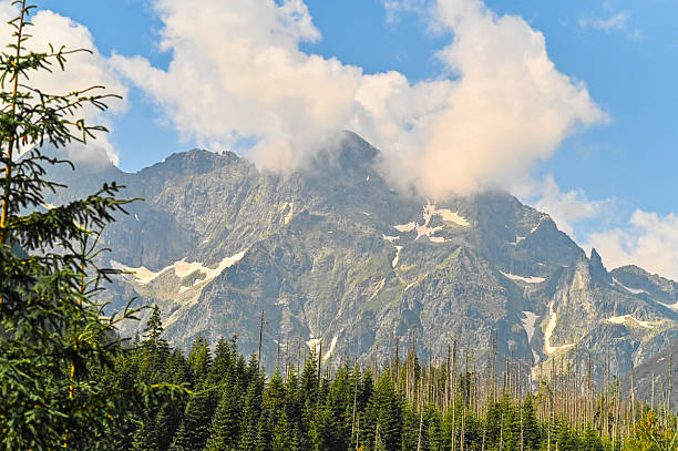 istock Expansive mountain range meets evergreen forest under clear skies. 2216078486