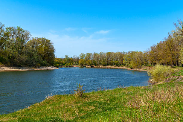 istock A beautiful spring landscape with a forest and river view. Green grass and trees create a beautiful natural setting 2216079307