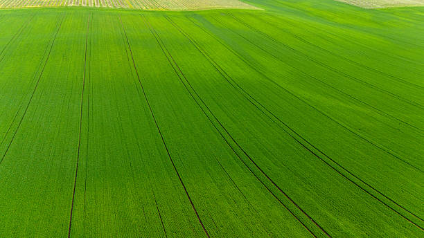 istock Colorful Patterns in Crop Fields – Drone Landscape Photography 2216080442