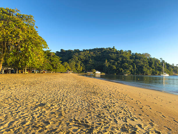 Visitors enjoy the tranquil beauty of Paraty's beach in Rio de Janeiro, featuring soft sand, clear water, and vibrant greenery under a bright blue sky.