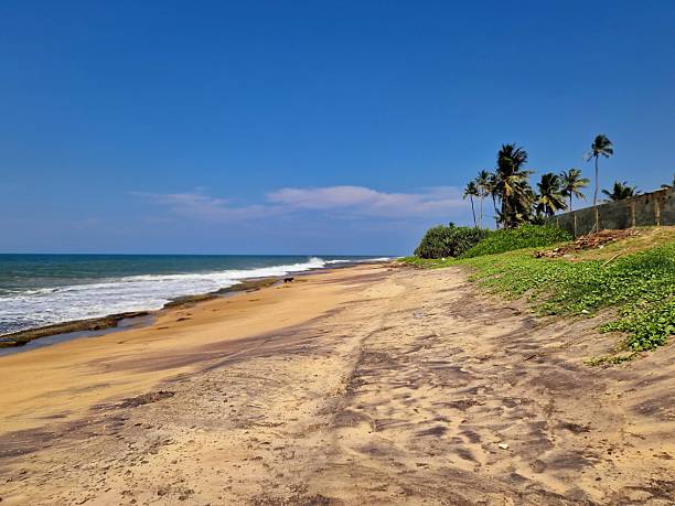 istock sandy beach near Negombo 2216083852