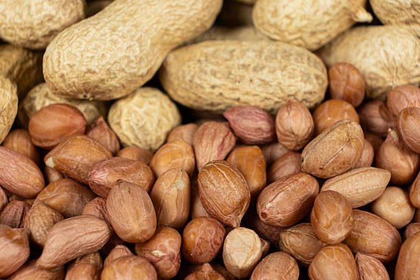 istock Shelled and Unshelled Peanuts Close-Up 2216091229