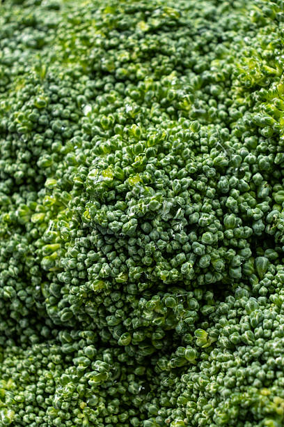 istock Natural Texture of Fresh Raw Broccoli in Macro 2216092212
