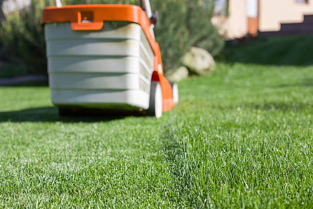 istock Lawnmower mowing the lawn. Selective focus. 2216094348