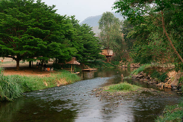 Serene riverside scene featuring lush green trees, a peaceful stream, and a cozy riverside hut. A treehouse and seating areas under the canopy evoke a sense of relaxation and connection with nature. Ideal for promoting eco-tourism, homestays, or peaceful rural getaways.