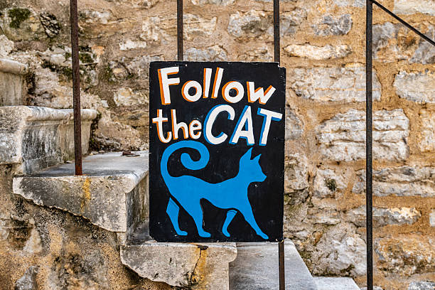 Sign says Follow The Cat in Budva, an old town known for many wild cats.