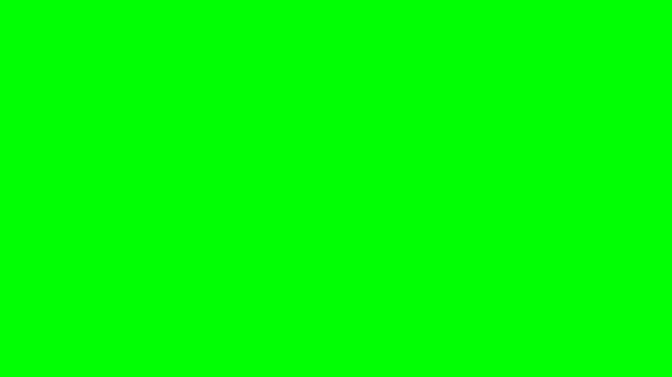 Bright solid green screen background for chroma key, video editing, compositing, and digital visual effects in film or television production
